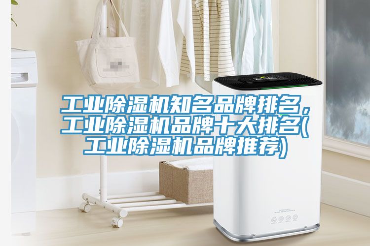 工業除濕機知名品牌排名，工業除濕機品牌十大排名(工業除濕機品牌推薦)