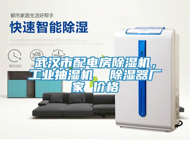 武漢市配電房除濕機，工業抽濕機  除濕器廠家 價格