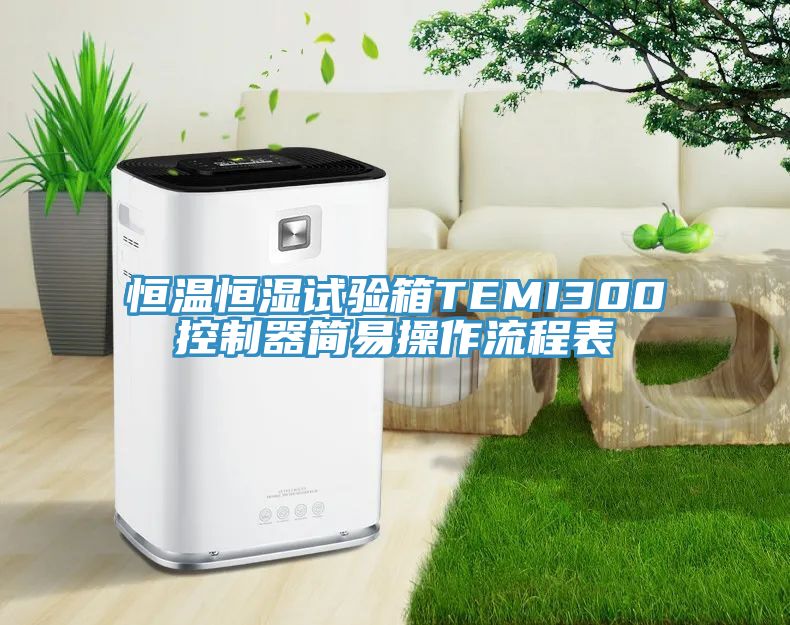 恒溫恒濕試驗(yàn)箱TEMI300控制器簡(jiǎn)易操作流程表