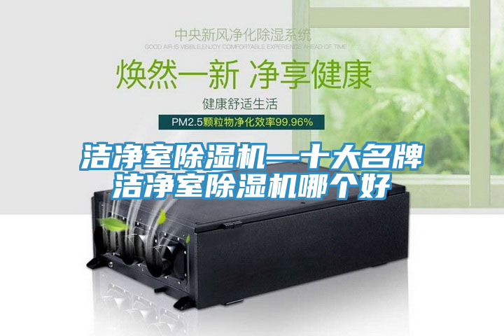 潔凈室除濕機—十大名牌潔凈室除濕機哪個好