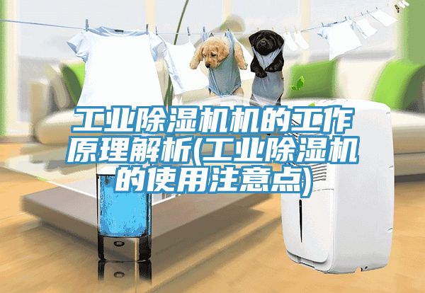 工業(yè)除濕機(jī)機(jī)的工作原理解析(工業(yè)除濕機(jī)的使用注意點(diǎn))