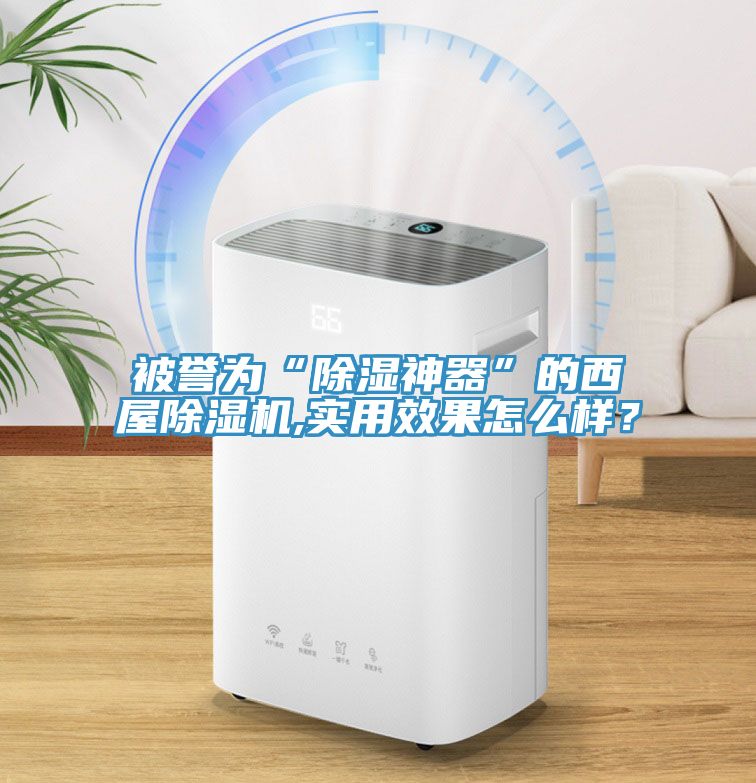 被譽為“除濕神器”的西屋除濕機,實用效果怎么樣？