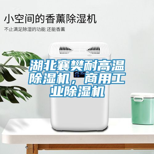 湖北襄樊耐高溫除濕機(jī)，商用工業(yè)除濕機(jī)