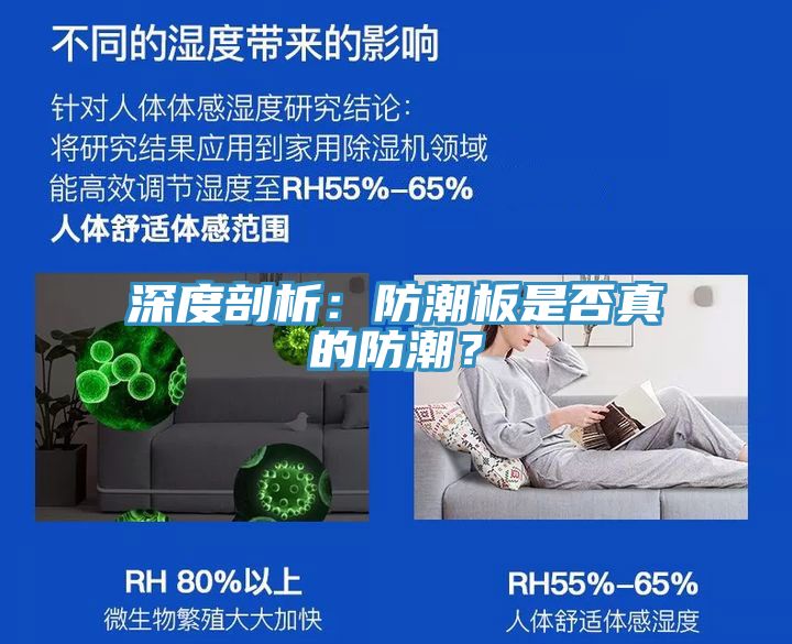 深度剖析：防潮板是否真的防潮？