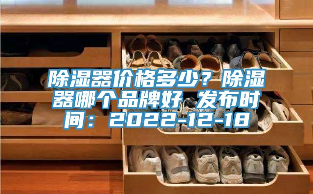 除濕器價格多少？除濕器哪個品牌好 發布時間：2022-12-18