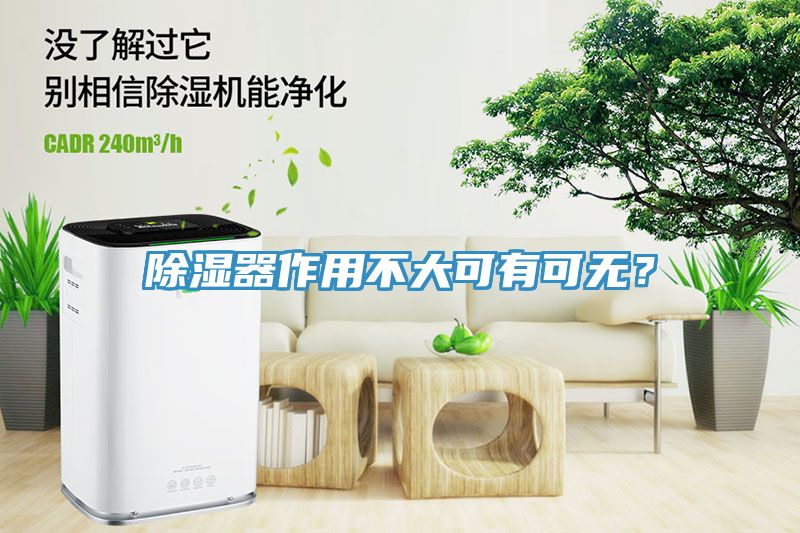 除濕器作用不大可有可無？