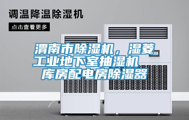 渭南市除濕機(jī)，濕菱工業(yè)地下室抽濕機(jī)  庫房配電房除濕器