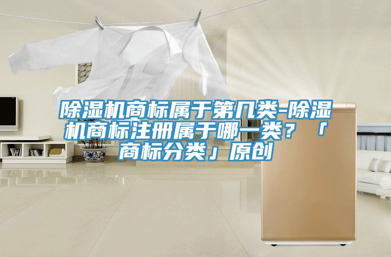 除濕機商標屬于第幾類-除濕機商標注冊屬于哪一類？「商標分類」原創(chuàng)