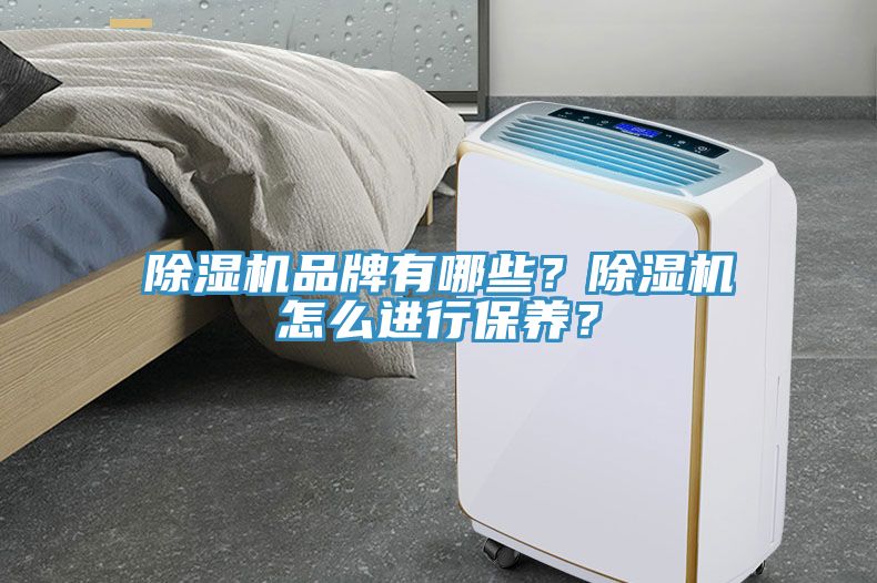 除濕機品牌有哪些？除濕機怎么進行保養(yǎng)？