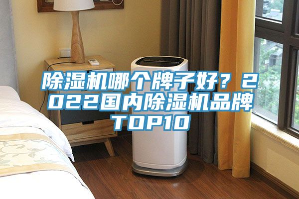 除濕機哪個牌子好？2022國內除濕機品牌TOP10