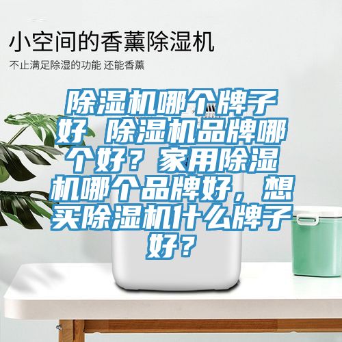 除濕機哪個牌子好 除濕機品牌哪個好？家用除濕機哪個品牌好，想買除濕機什么牌子好？