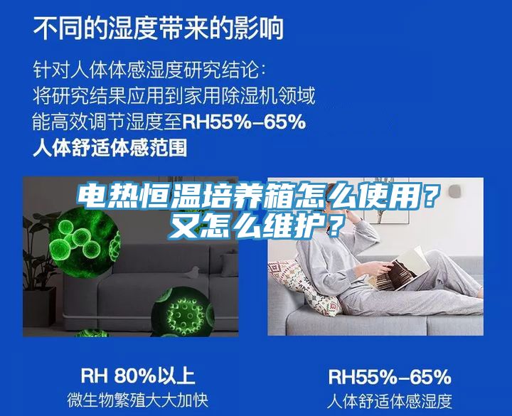 電熱恒溫培養箱怎么使用？又怎么維護？