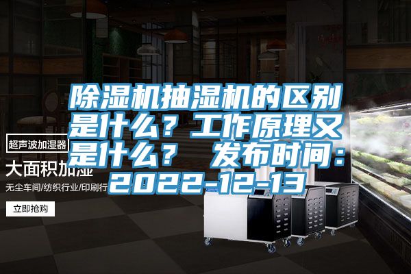 除濕機抽濕機的區別是什么？工作原理又是什么？ 發布時間：2022-12-13