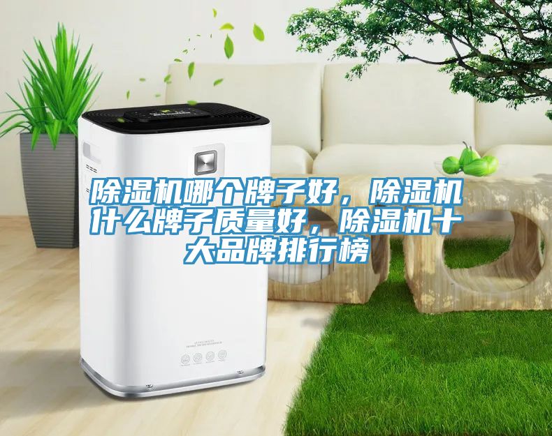 除濕機哪個牌子好，除濕機什么牌子質量好，除濕機十大品牌排行榜