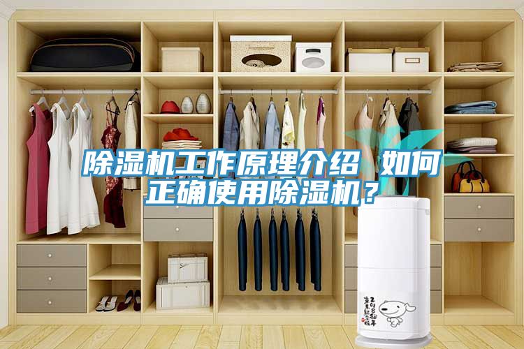 除濕機(jī)工作原理介紹 如何正確使用除濕機(jī)？