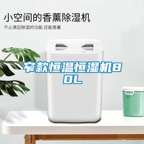 窄款恒溫恒濕機80L