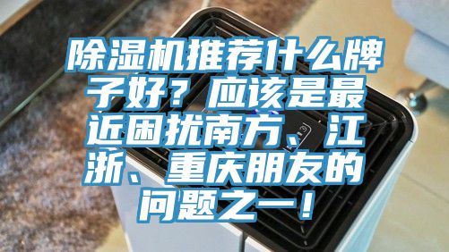 除濕機推薦什么牌子好？應該是最近困擾南方、江浙、重慶朋友的問題之一！