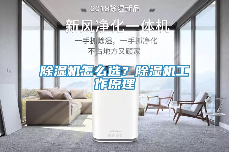 除濕機怎么選？除濕機工作原理