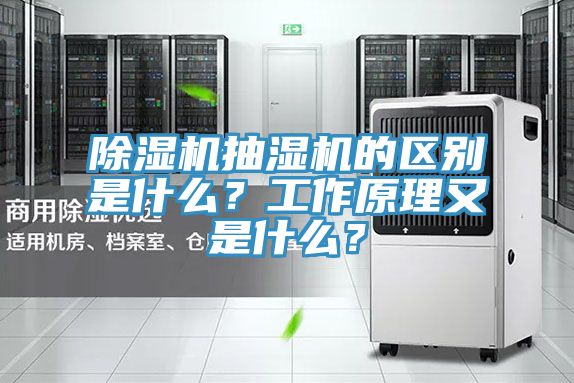 除濕機抽濕機的區別是什么？工作原理又是什么？