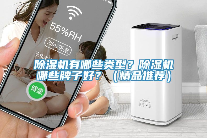 除濕機有哪些類型？除濕機哪些牌子好？（精品推薦）